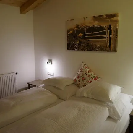 Haus Senoner 4* Κίτσμπουελ